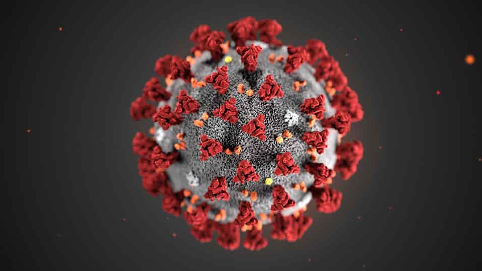 Commercialista como contromisure coronavirus